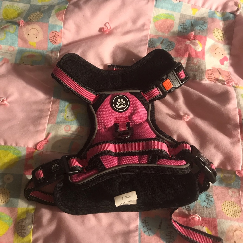 Small Dog Collar